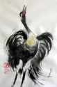 Crane Crane