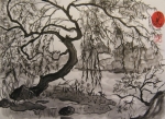 Willow tree, 30x40, Ink/C, 2008