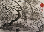 Willow tree, 30x40, Ink/C, 2008 Willow tree, 30x40, Ink/C, 2008