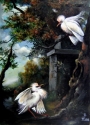 WHITE BIRDS
70 x 50 Canvas, oil, 2006