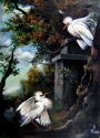 WHITE BIRDS
70 x 50 Canvas, oil, 2006