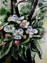 APPLE FLOWERS
Aquarell, 1990 APPLE FLOWERS
Aquarell, 1990