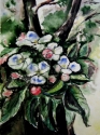 APPLE FLOWERS
Aquarell, 1990